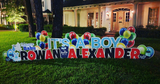 Gender Reveal / Baby Shower Yard Greeting